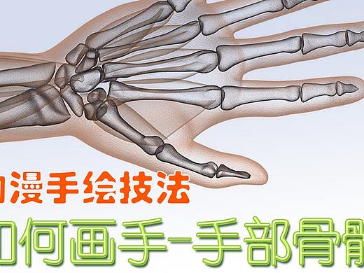 如何画手_02_手部骨骼讲解