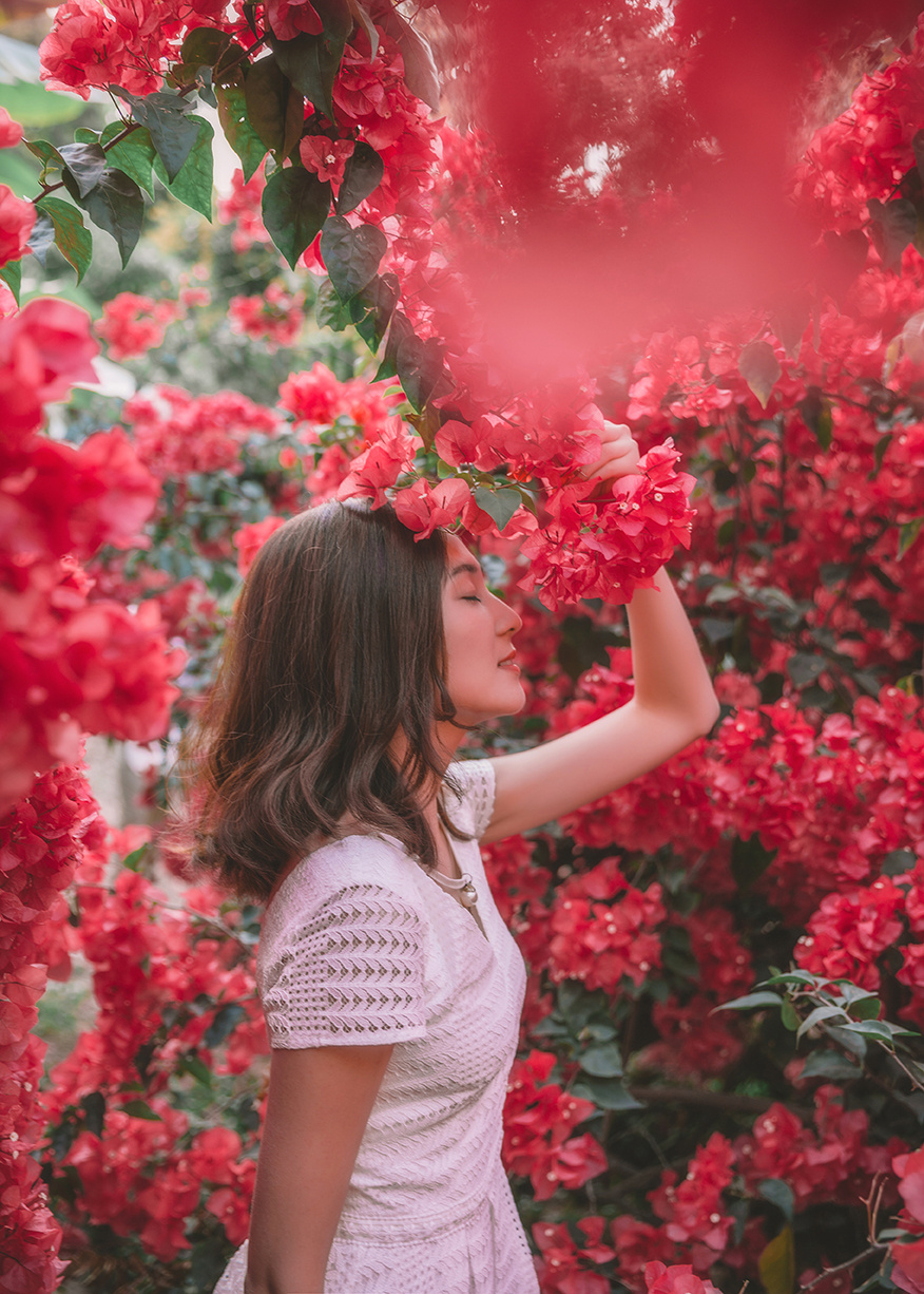 春风十里扬州路,三角梅花争艳为你开|摄影|人像摄影|木夕a_原创作品