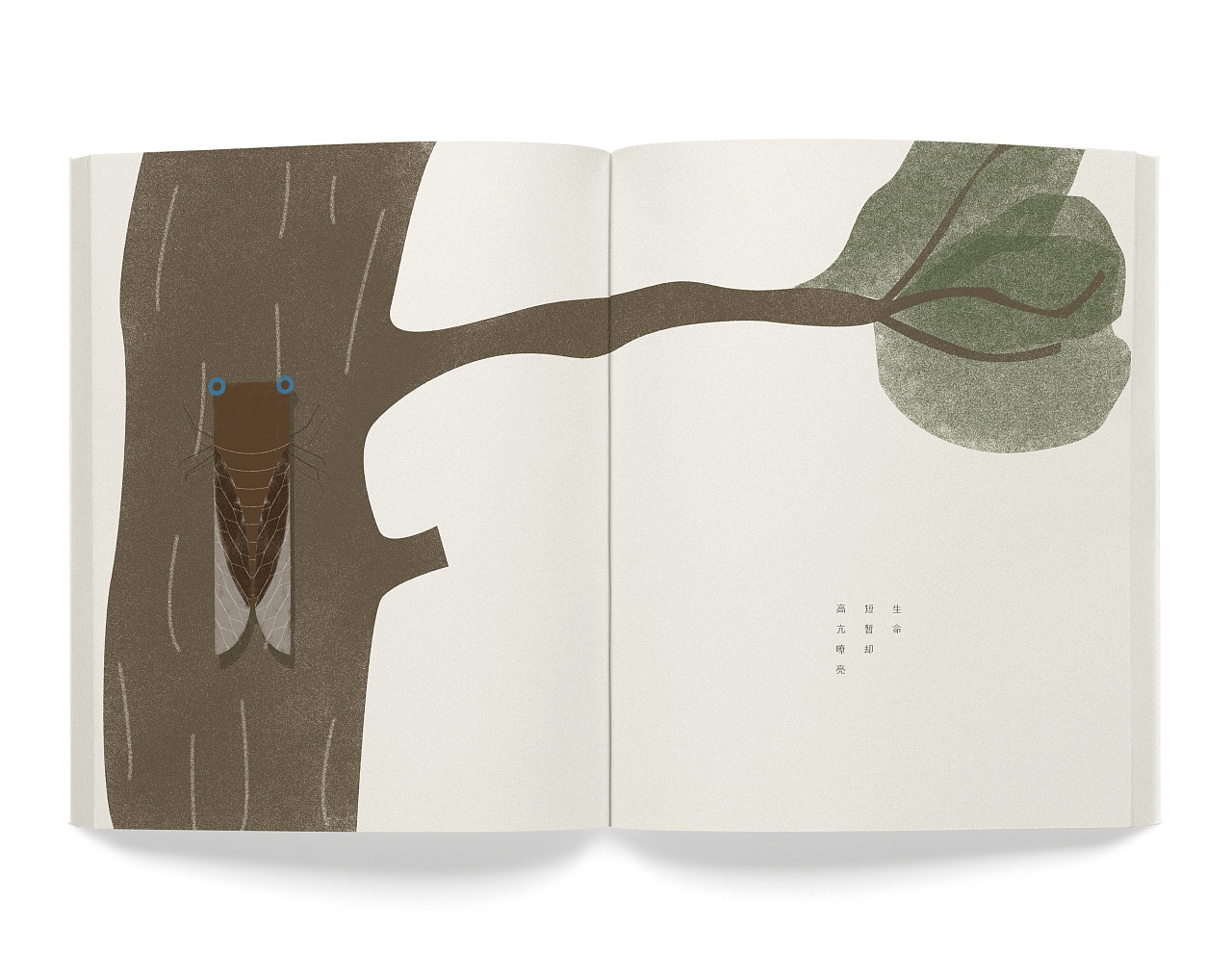 "知了知了"文学绘本设计-毕业设计