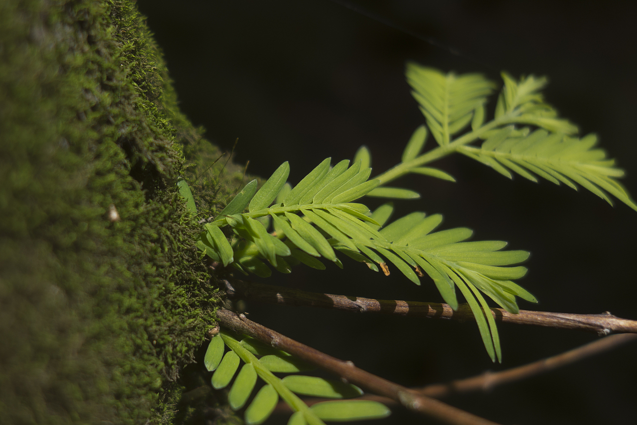 出门记得带相机（图ZODQ3NDgyMDA=） - 风光摄影 - 站酷设计师zzmhahaha原创素材 - 站酷ZCOOL