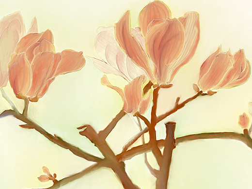 花卉集