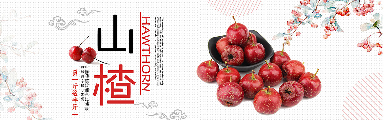 美食banner