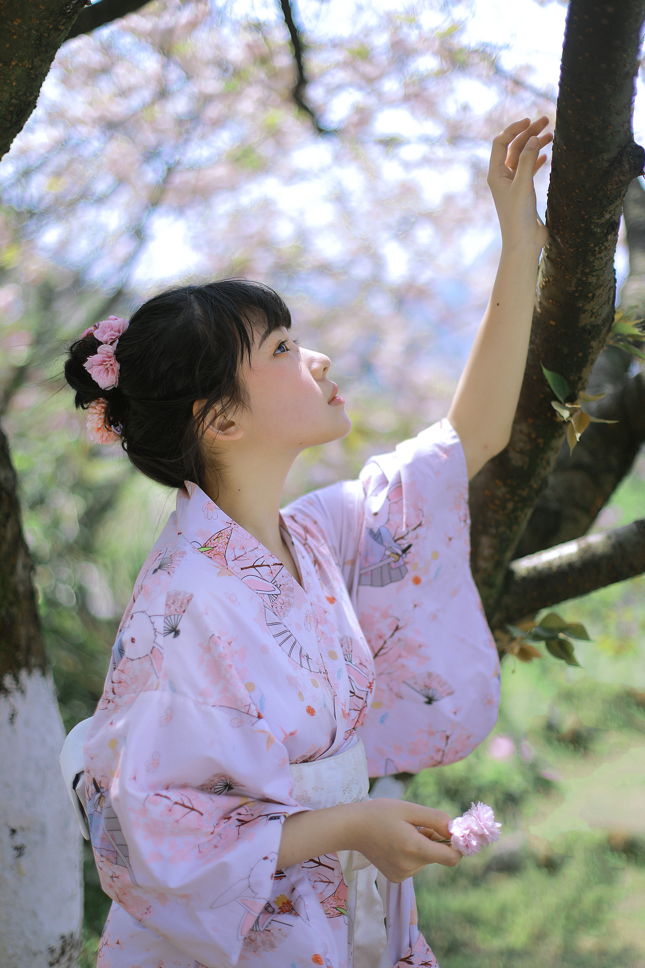 樱花树下（图ZMjUyODAwNTM2） - 人像摄影 - 站酷设计师太阳酱Catnip原创素材 - 站酷ZCOOL