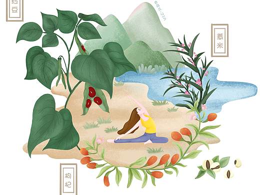 代餐粉包装插画