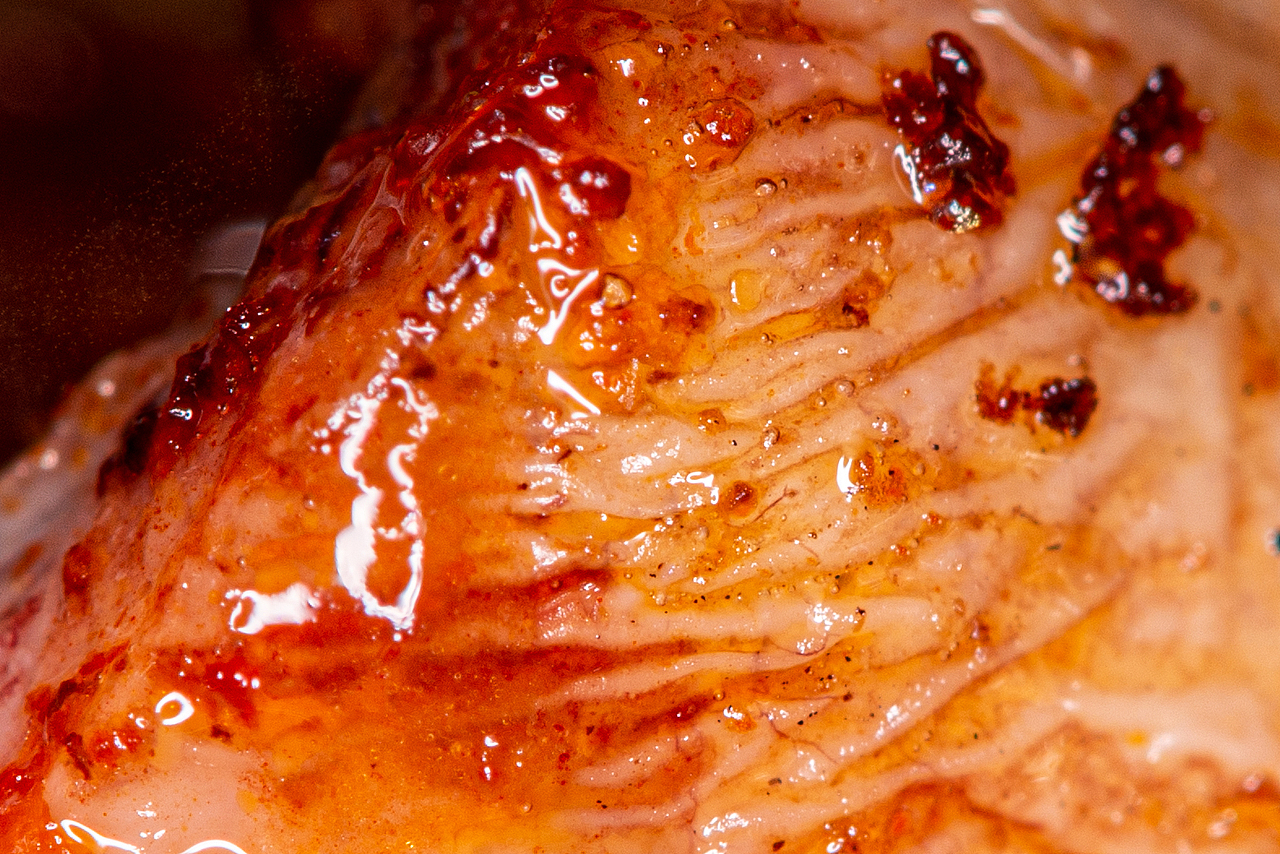 微观下的烧烤（图ZMjc1NTgwNjI4） - 美食摄影 - 站酷设计师喜马拉雅阿飞哥原创素材 - 站酷ZCOOL