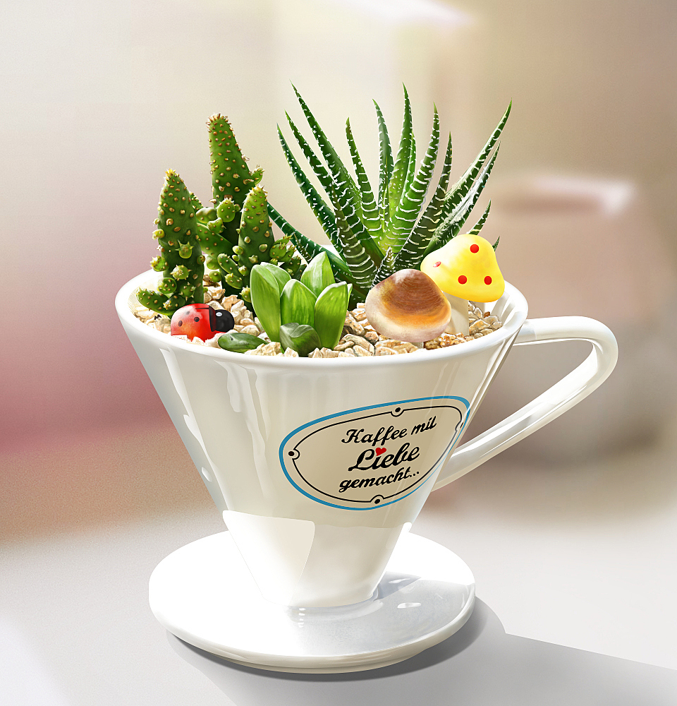 一杯多肉（图ZMTQ2MTU0MTA0） - 像素画 - 站酷设计师水水solar原创素材 - 站酷ZCOOL