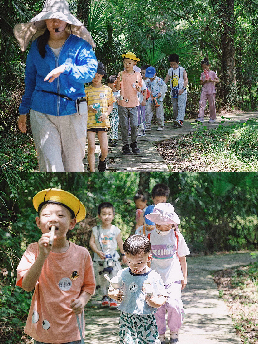 西溪湿地研学-大暑至夏意浓
