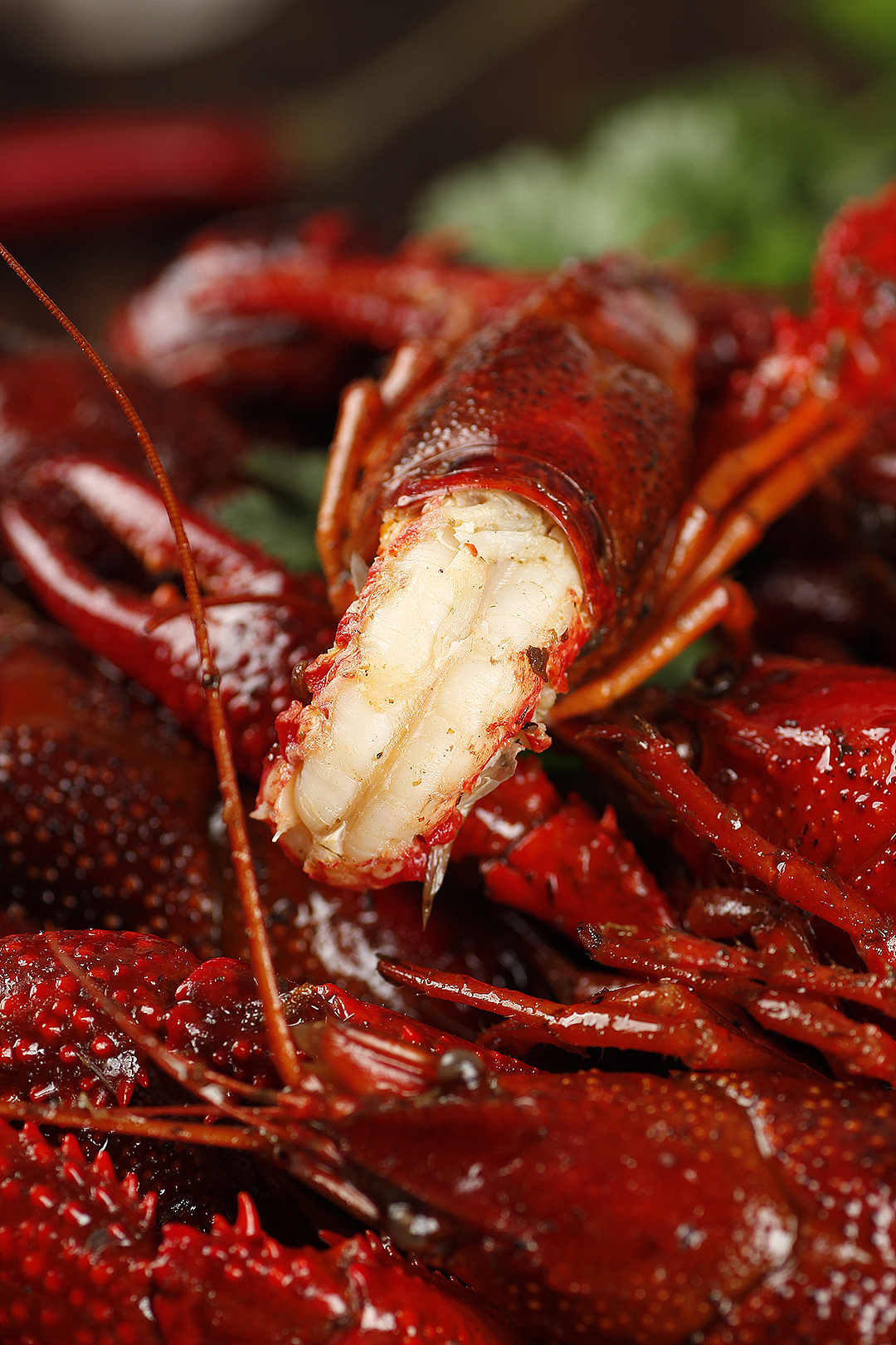 速食小龙虾部分样片丨飞鸟电商（图ZMTUyOTY3ODA4） - 产品摄影 - 站酷设计师陈默工作室原创素材 - 站酷ZCOOL