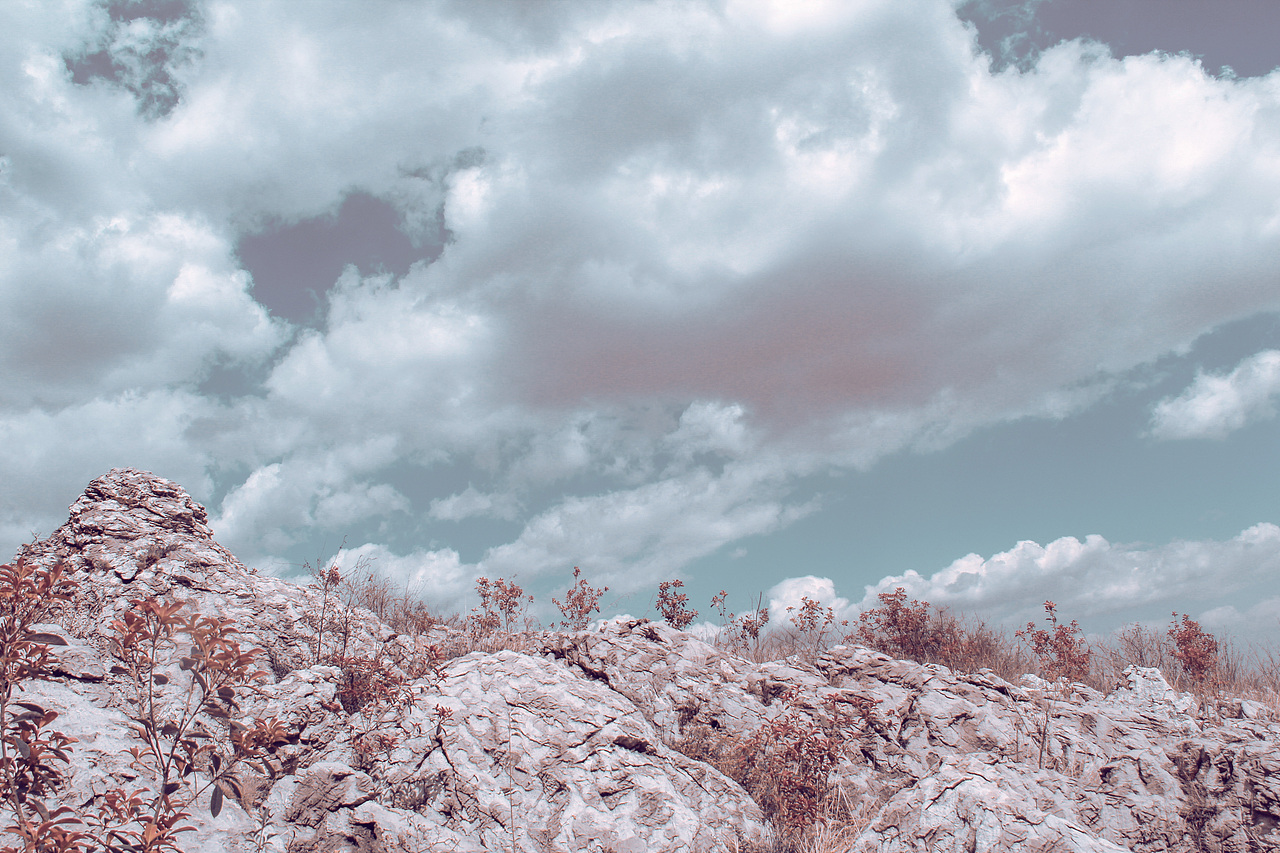 野里 | 姓张的马先生