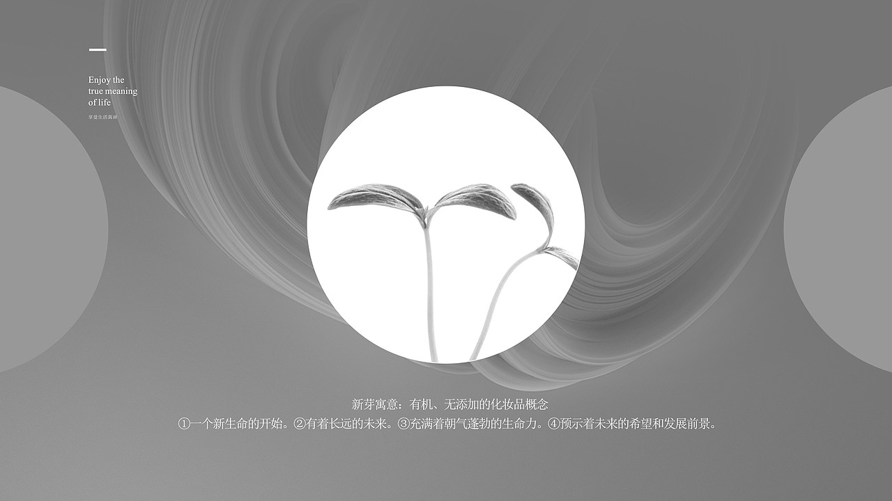 伊妮娜品牌视觉设计