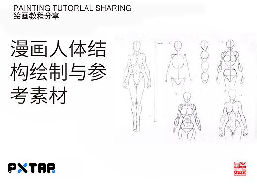 漫画人体结构绘制与参考素材