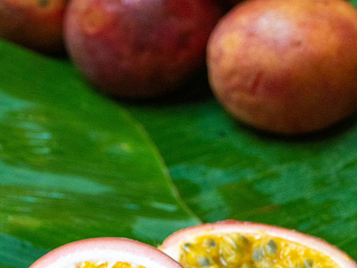 如果你太重视某件事情，就会成为它的奴隶。 