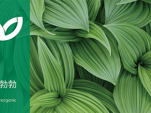 爱农天下标志提案—（农业）（个人主页-ZNTU2MzU3ODg=） - Logo - 站酷设计师GELUGELU原创素材 - 站酷ZCOOL