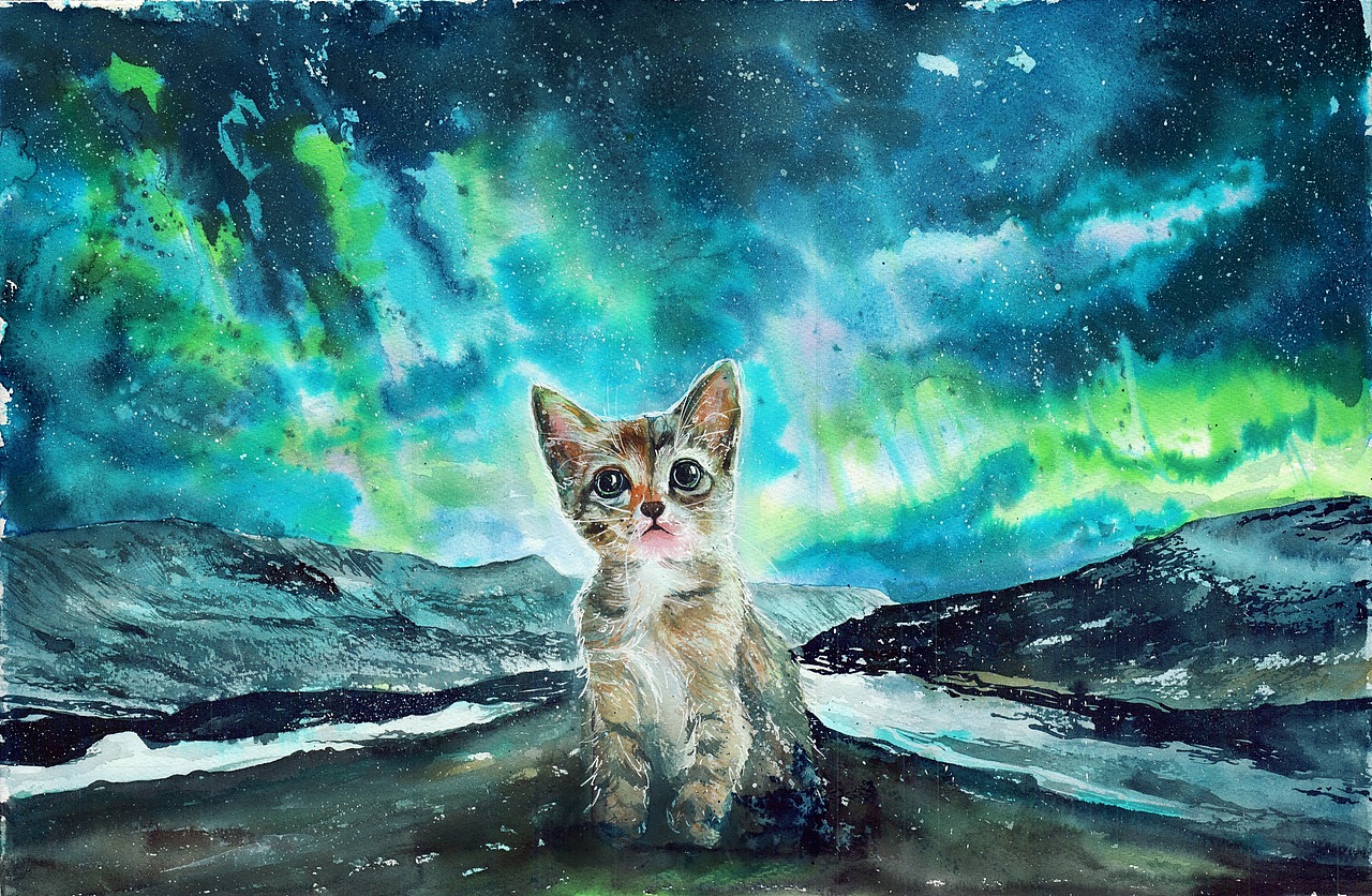 2016下半年最受歡迎作品合集（图ZNjgwMzU2NzI=） - 艺术插画 - 站酷设计师peichung原创素材 - 站酷ZCOOL