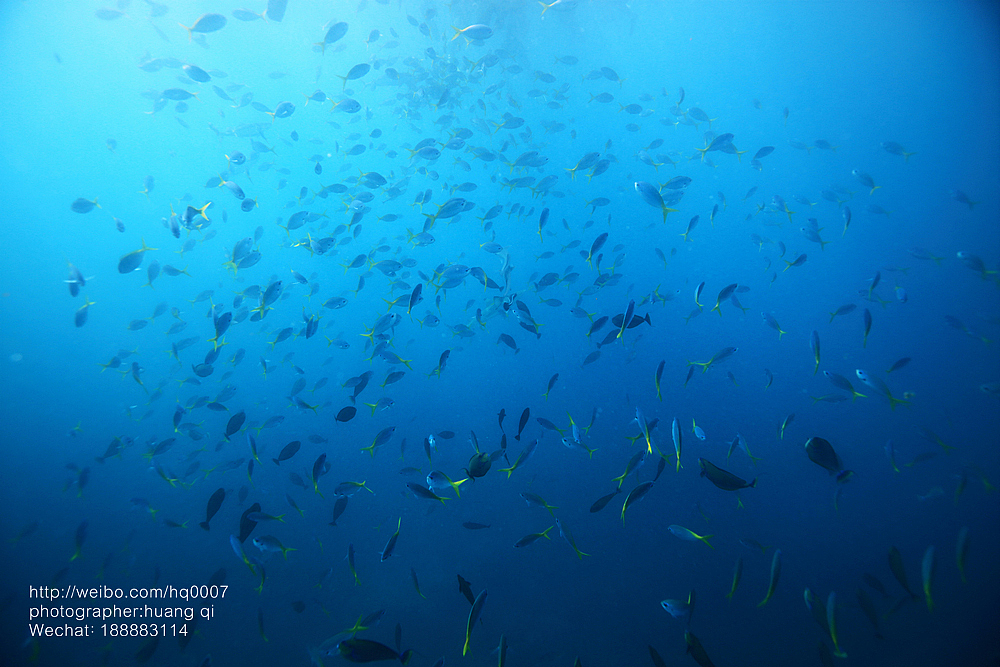 水下摄影（图ZNDUxNTY2OTY=） - 人像摄影 - 站酷设计师摄影师黄棋原创素材 - 站酷ZCOOL