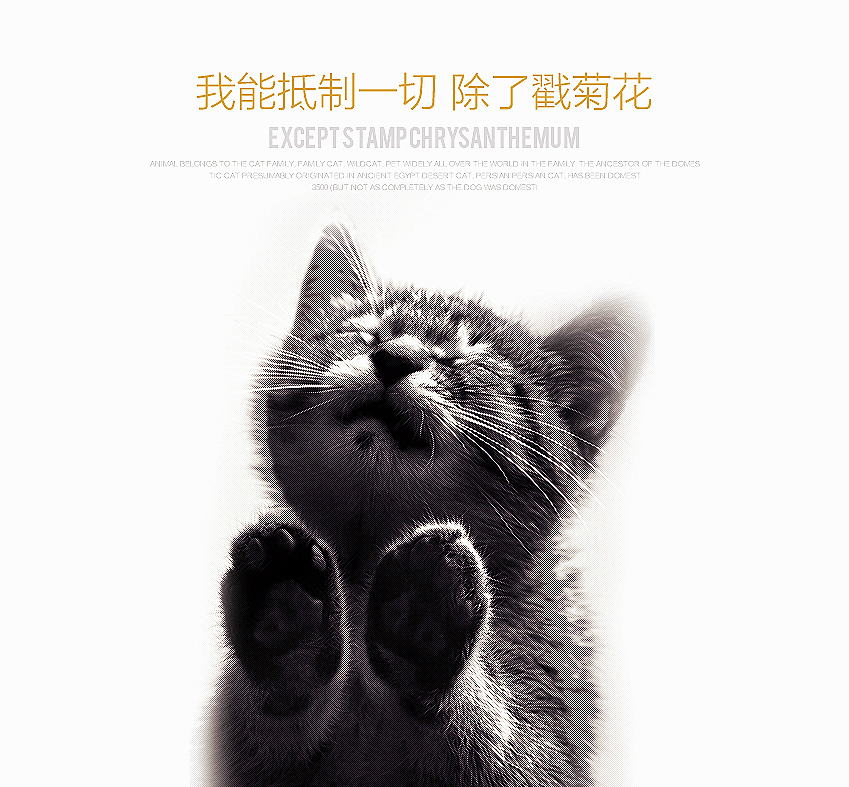 装逼稿一枚（图ZMjUxODU1ODA=） - 运营设计 - 站酷设计师最爱喝茶姬原创素材 - 站酷ZCOOL