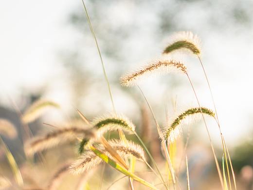 江山摄影日记一