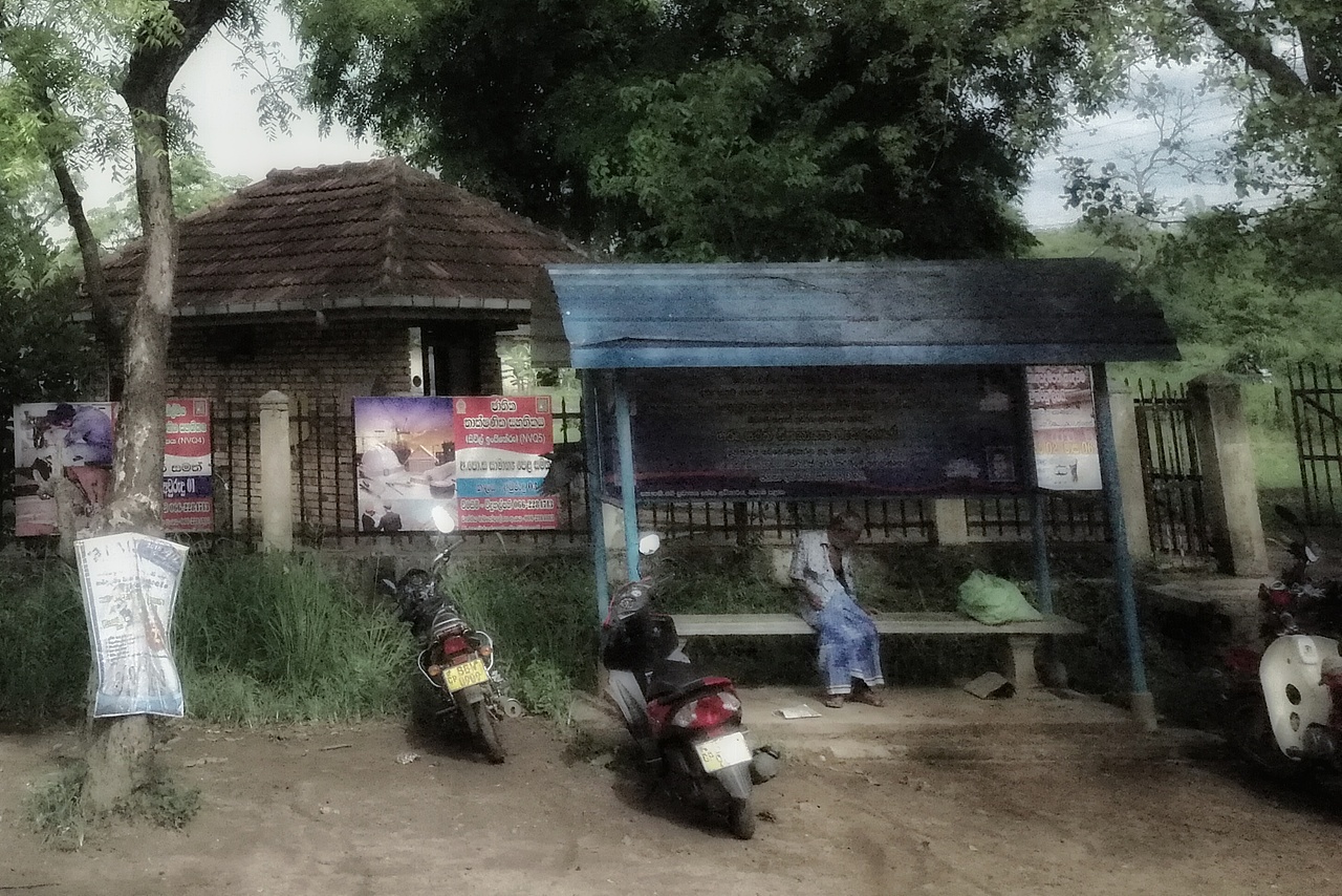 斯里兰卡——车览锡兰街头