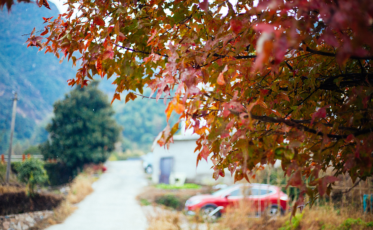 初冬九华山（图ZMTg1MjAwODg0） - 风光摄影 - 站酷设计师linguifeng原创素材 - 站酷ZCOOL