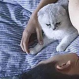 Dapu的头像