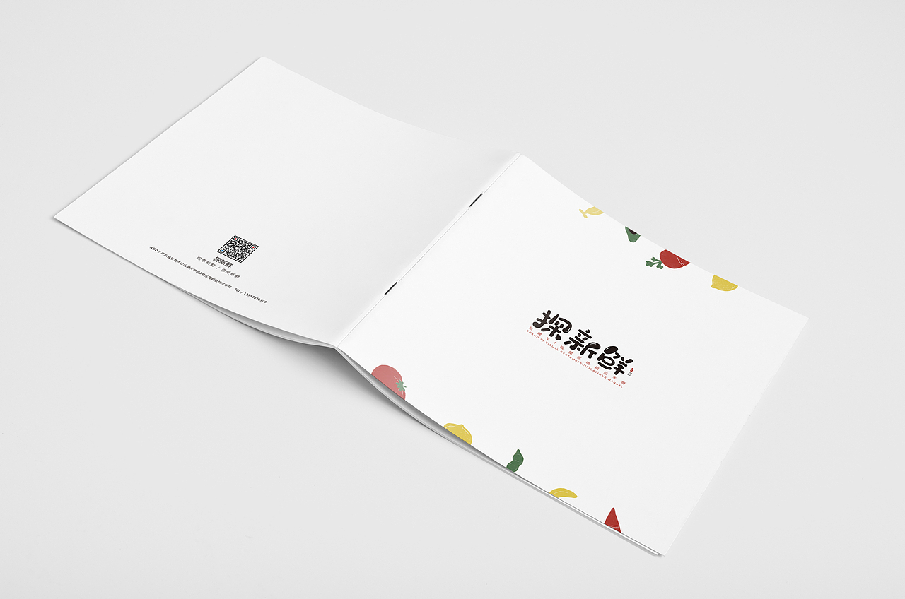 探新鲜 品牌VI设计