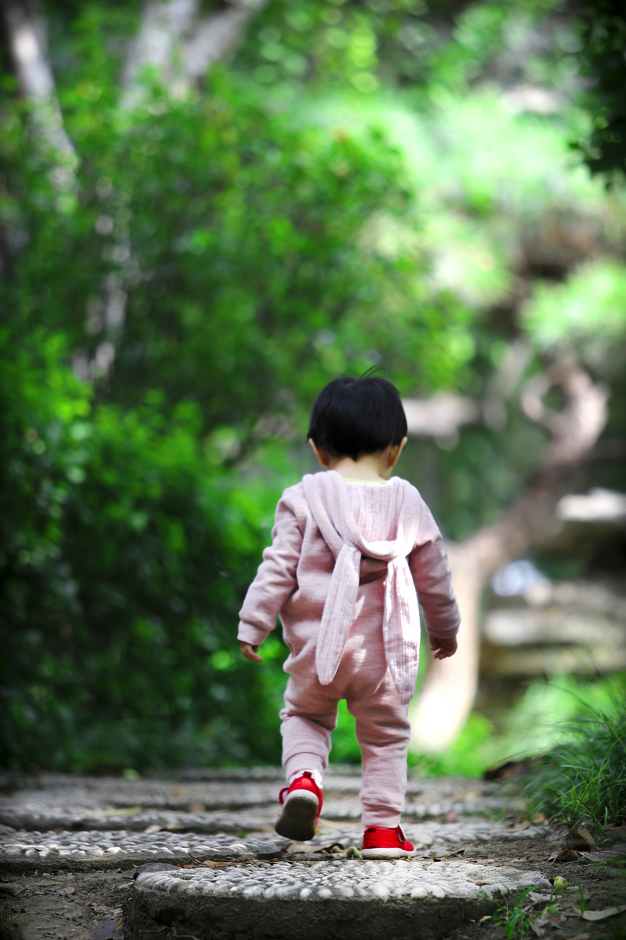 时间都去哪了—— 一岁五个月 《丛林的小兔子》