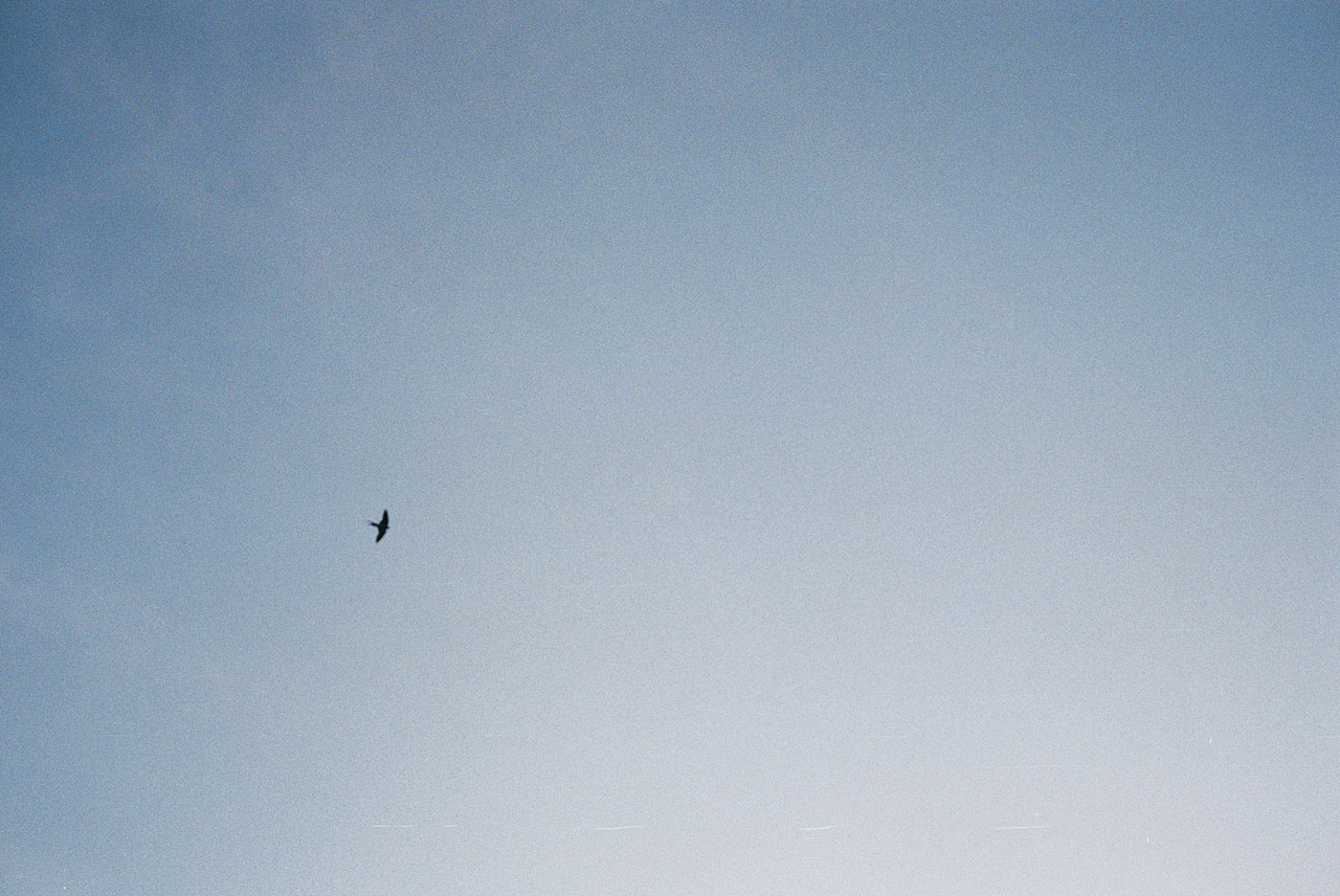 2018胶片扫街-夏