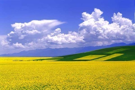 燕丹的个人主页（封面预览） - 主页封面设置 - 站酷设计师燕丹原创素材 - 站酷ZCOOL