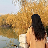 周周ZhouZ的头像