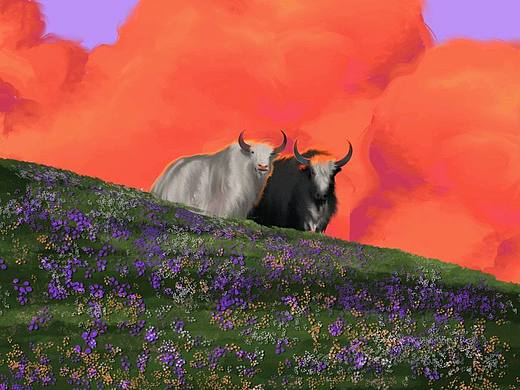 牦牛（个人主页-ZNjMxNzczMjg=） - 创作习作 - 站酷设计师FURY1376原创素材 - 站酷ZCOOL