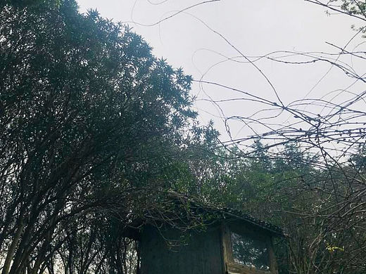 郊外小屋