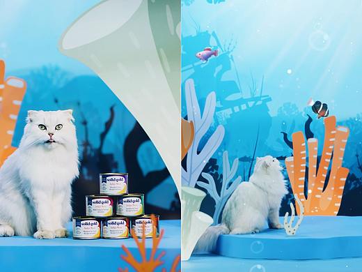 素力高X珀珀宠影之海洋系列猫咪罐头视频