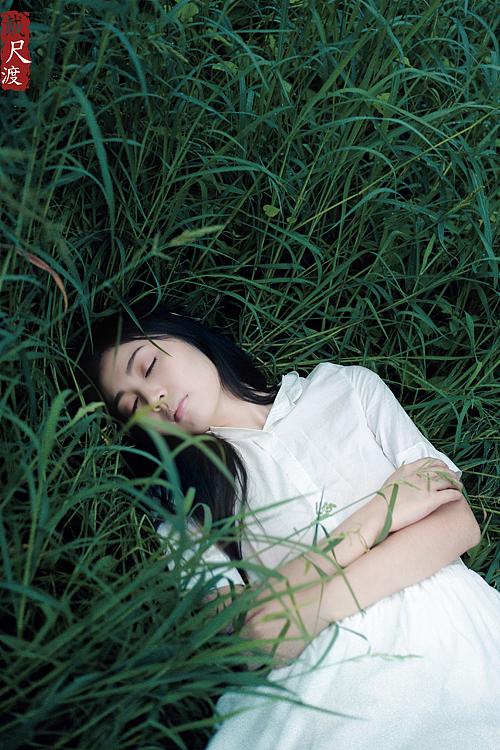 森の奥(附带视频)