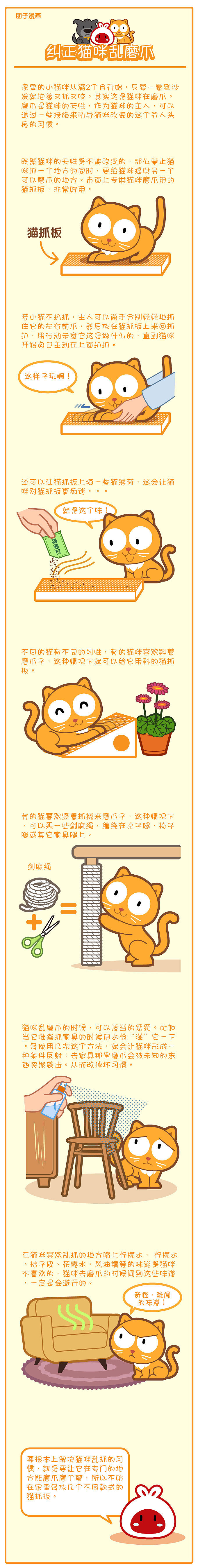 宠物（猫狗）常识漫画（图ZMTUwMTczODg=） - 短篇/格漫 - 站酷设计师leonshaw原创素材 - 站酷ZCOOL