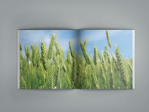 画册（个人主页-ZNDAxMDk1NzY=） - 书籍/画册 - 站酷设计师化语原创素材 - 站酷ZCOOL