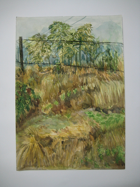 2015春节写生绘画本