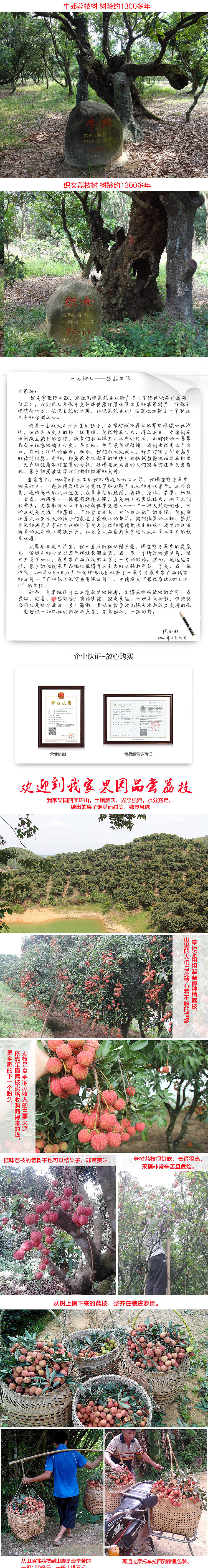 荔枝—妃子笑详情/分类设计/众筹详情（图ZODExNDM2Mjg=） - 电商 - 站酷设计师淘桃君原创素材 - 站酷ZCOOL
