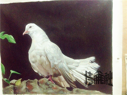 墙角笔触彩铅群群成员彩铅作品合辑第五季