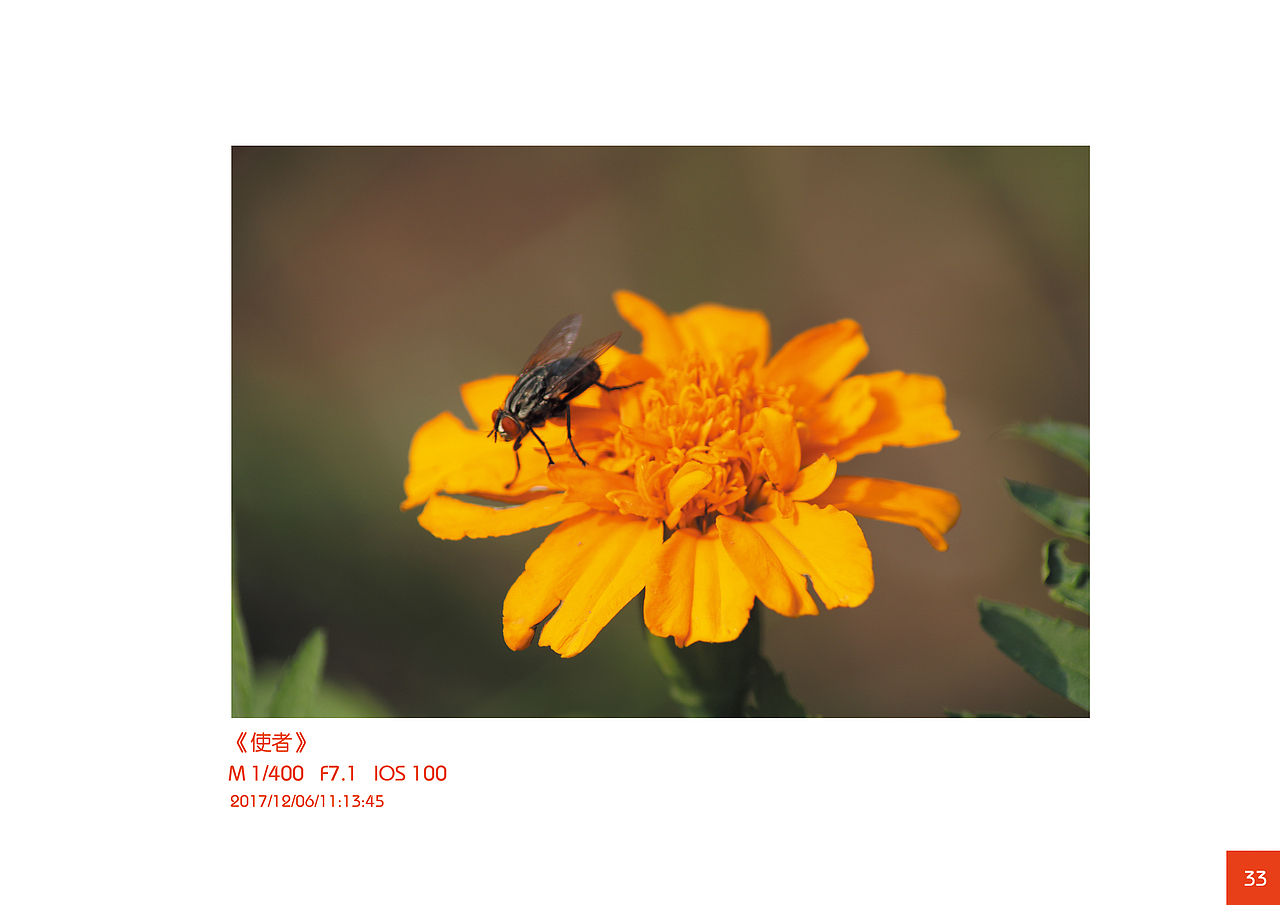 摄影课作业集（图ZMzE0Njg4NTQw） - 风光摄影 - 站酷设计师Maxyang1900原创素材 - 站酷ZCOOL