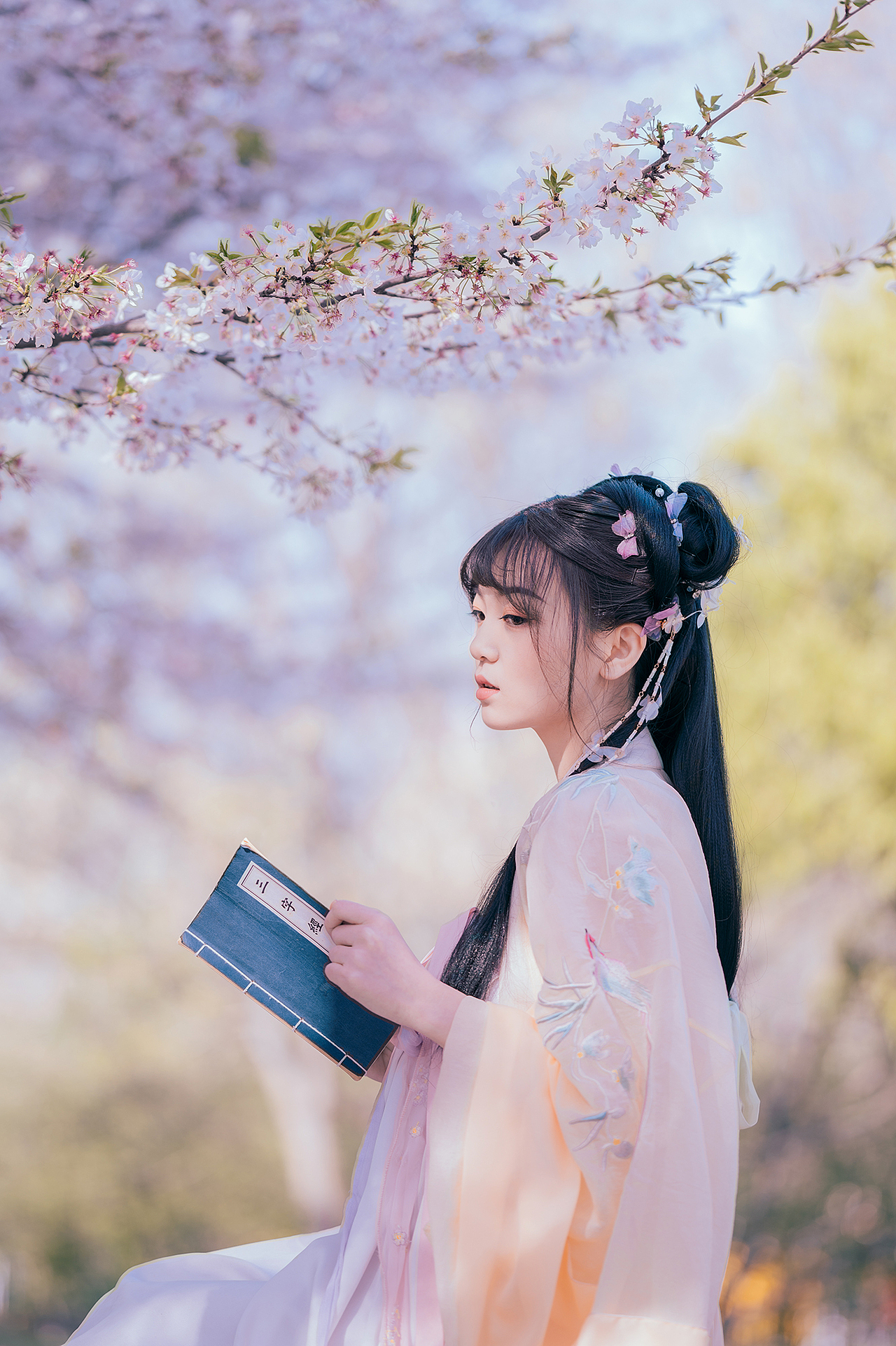 樱花落（图ZMjA0MzMxNjMy） - 人像摄影 - 站酷设计师拍照的青山原创素材 - 站酷ZCOOL