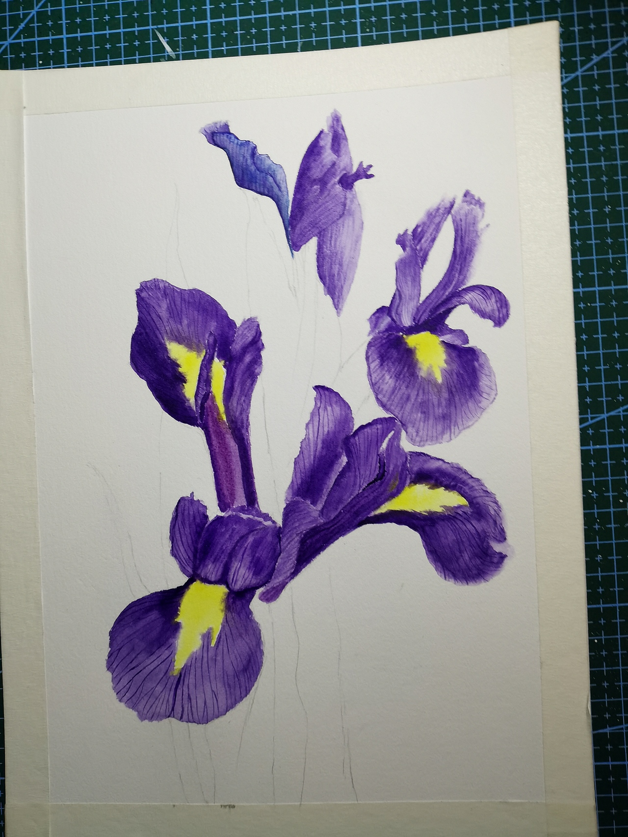 原创水彩作品（图ZMjg4MDMzOTcy） - 艺术插画 - 站酷设计师夏天的画原创素材 - 站酷ZCOOL