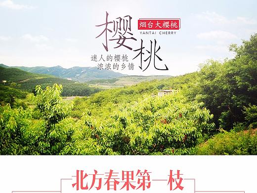 樱桃众筹（个人主页-ZMjk2MDU5NjA=） - 宣传物料 - 站酷设计师倪小闹原创素材 - 站酷ZCOOL