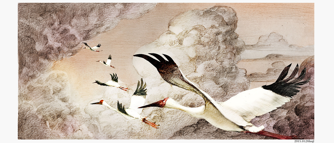 鹤（图ZMzU4NTg3ODQ=） - 商业插画 - 站酷设计师樊安安原创素材 - 站酷ZCOOL