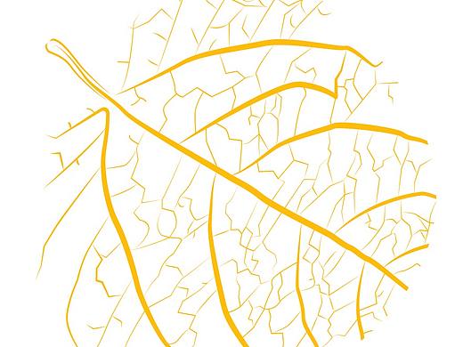 相冊封面（個人主頁-ZMjUyNTc5NDg=） - 書籍/畫冊 - 站酷設(shè)計師酒鬼康原創(chuàng)素材 - 站酷ZCOOL