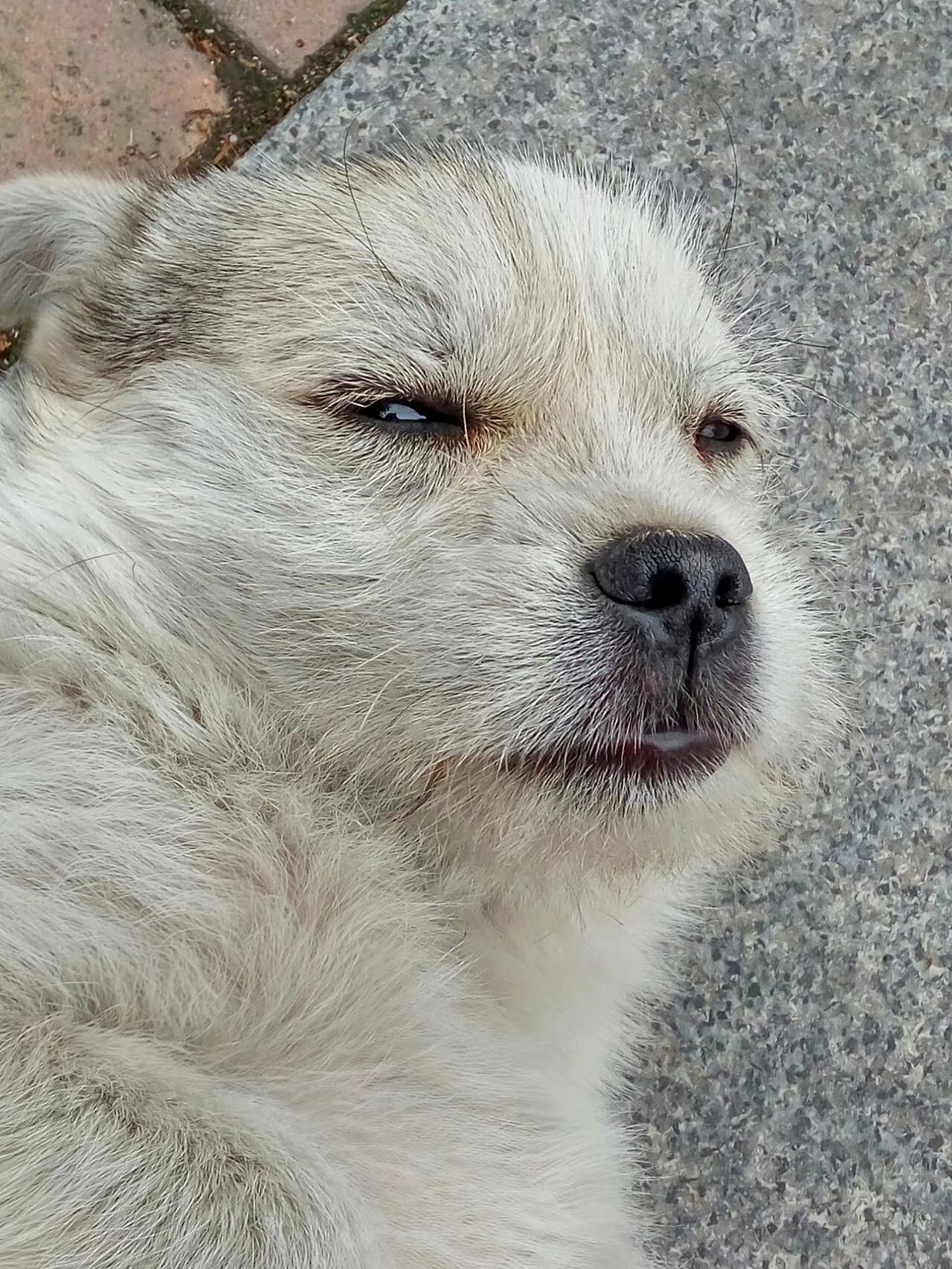 遇见（图ZMTEyMTA3MTQ0） - 人文/纪实摄影 - 站酷设计师焉寐语原创素材 - 站酷ZCOOL