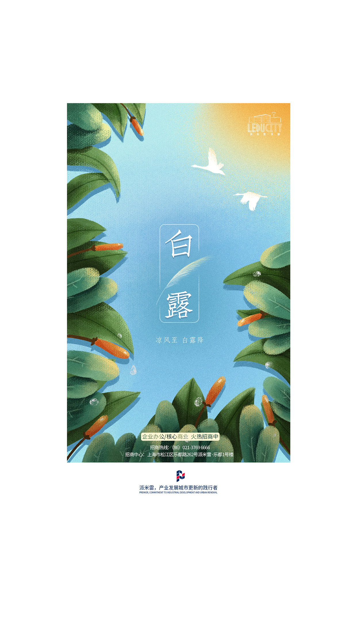 节气海报-白露