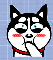 哈小齐的以往表情