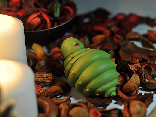 寂寞萌宠罐子 虫