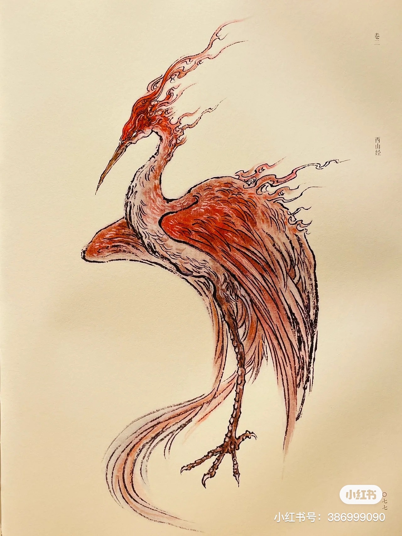 山海经:毕方鸟 首饰设计海报_快乐星球12-站酷zcool