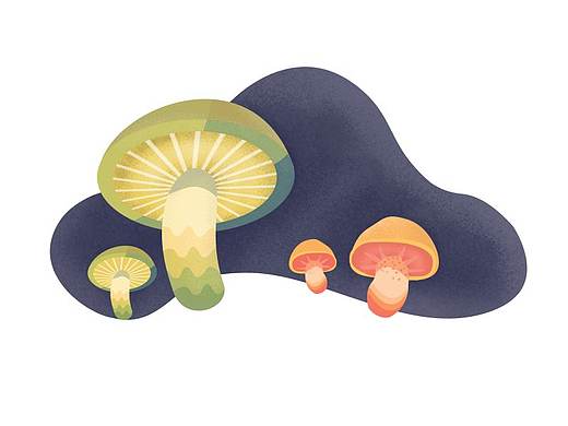 蘑菇简笔画